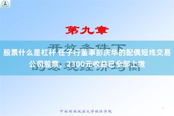 股票什么是杠杆 任子行董事彭庆华的配偶短线交易公司股票，2300元收益已全部上缴