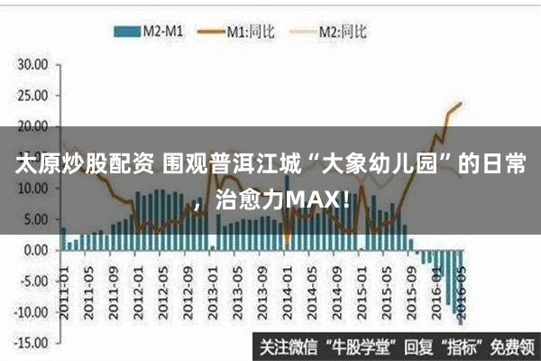 太原炒股配资 围观普洱江城“大象幼儿园”的日常，治愈力MAX！