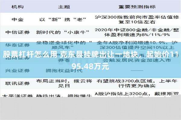 股票杠杆怎么用 克东县挂牌出让一地块，起始价1195.48万元