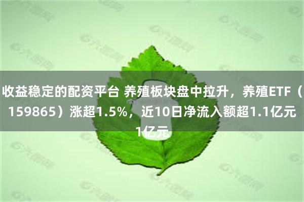 收益稳定的配资平台 养殖板块盘中拉升，养殖ETF（159865）涨超1.5%，近10日净流入额超1.1亿元