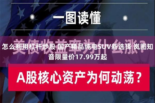 怎么利用杠杆炒股 国产精品纯电SUV新选择 岚图知音限量价17.99万起