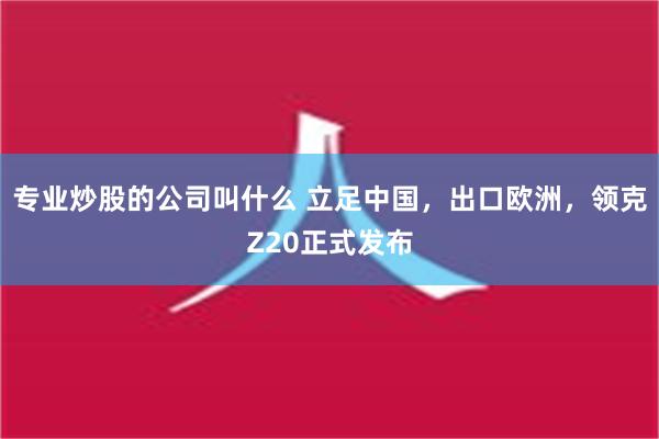 专业炒股的公司叫什么 立足中国，出口欧洲，领克Z20正式发布