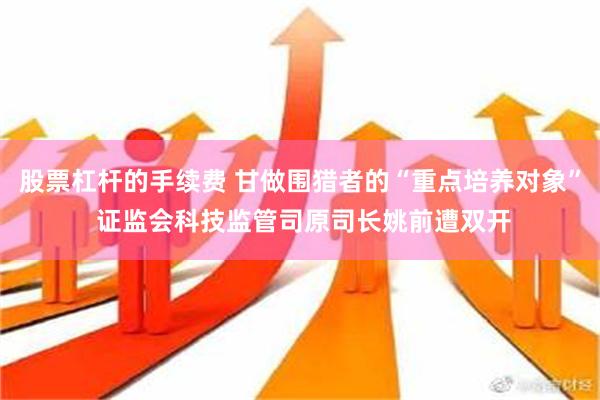 股票杠杆的手续费 甘做围猎者的“重点培养对象” 证监会科技监管司原司长姚前遭双开