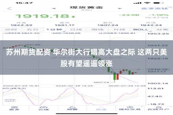 苏州期货配资 华尔街大行唱高大盘之际 这两只美股有望遥遥领涨